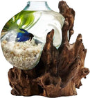 Hand Blown Molten Glass & Teak Wood Terrarium/Vase/Fish Bowl - Premium Quality (12" - 14" High) by CozyNest Decor