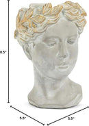 Abbott Collection Aphrodite Head Planter – Medium Indoor and Outdoor Planter Pots - Whimsical Woman Statue Head Planter for Flowers and Succulents (8.5 inch, Grey/Gold) by GreenHaven Gardens