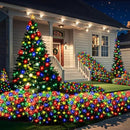 6Ftx4Ft LED Christmas Net Lights Green Wire,Connectable UL Certified Waterptoof Net Lights for Bushes Trees Shurb Garden Outdoor Christmas Decorations by GreenHaven Gardens
