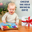 MINIARTIS Xylophone for Kids and Toddlers | 8 Notes Colorful Wooden Xylophone with Mallets and 15 Music Songbook | Kids Musical Instrument Educational Montessori Toys by TinyTreasures Baby Boutique