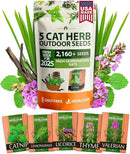 HOME GROWN 2,160+ Cat Plant Seeds Mix – 𝗡𝗢𝗡-𝗚𝗠𝗢 𝗨𝗦𝗔-𝗦𝗢𝗨𝗥𝗖𝗘𝗗 Heirloom Catnip, Lemongrass, Licorice, Thyme & Valerian – Pet-Friendly Indoor Garden Refill Kit for Cats & Kittens by GreenHaven Gardens