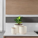 Docrin Ceramic Plant Pots Indoor：6.5+5.3+4 Inch Planters with Drainage Holes for Home /Office - Set of 3 / White by GreenHaven Gardens