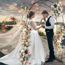 Tytroy Reconfigurable & Easy-to-Assemble Metal Outdoor & Indoor 7'6" Xmas Arch Garden or Wedding Arch Arbor for Wedding Bridal Party Elegant Decorations & Garden Climbing Plants Vines (Black 1PC) by GreenHaven Gardens