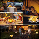 Garden Solar Lights Outdoor(2Pack) , Amber Crackle Globe Glass Lotus Decoration , Waterproof Orange Metal LED Flower Lights for Patio,Lawn,Walkway,Tabletop,Ground, Garden Gifts for Women by GreenHaven Gardens