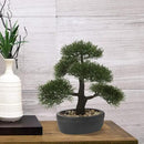 Artificial Bonsai Tree Juniper Faux Plants Indoor Small Fake Plants Decor with Black Plastic Pots for Home Table Office Desk Bathroom Shelf Bedroom Living Room Farmhouse Decorations by GreenHaven Gardens