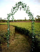 Steel Garden Arch, 8'1" High x 4'2" Wide, Garden Arbor for Various Climbing Plant, Outdoor Garden Lawn Backyard by GreenHaven Gardens