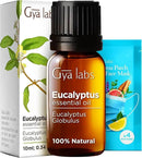 Gya Labs Eucalyptus Essential Oil for Diffuser - 0.34 Fl Oz - 100% Pure Natural Eucalyptus Oil for Skin, Humidifier, Candle Making & Aromatherapy - Fresh, Cooling Scent by CozyNest Decor