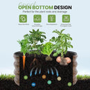 G GOOD GAIN Round Raised Garden Bed - 2Pcs 2x2x1ft Galvanized Steel Planter Boxes Outdoor with Rubber Edge Trim | Metal Raised Beds for Gardening Vegetables Flowers Fruits Herbs (Wood Grain) by GreenHaven Gardens