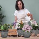 Quarut 12 Inch 4 Pack Large Plant Pots, Plastic Flower Pot for Indoor & Outdoor with Drainage Holes & Saucer, Circle Pattern Planters Garden Pots for Herbs by CozyNest Decor