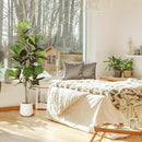 Artificial Fiddle Leaf Tree, 5ft Faux Plant Fake Ficus Lyrata Silk Trees with White Planter, Artificial Fig Trees Floor Plants for House Office Living Room Indoor Home Decor, Housewarming Gift by CozyNest Decor