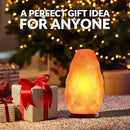 Himalayan Glow Salt Lamp with Dimmer Switch 5-7 lbs by CozyNest Decor
