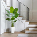Lifelike Bird of Paradise Silk Artificial Plant Faux Banana Leaf Tree for Home Decor - Perfect Indoor Floor Plant with 9 Trunks (1, White Tall Planter, 5 FT) by CozyNest Decor