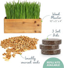 The Cat Ladies Cat Grass Kit (Organic) with Rustic Wood Planter, Seed and Soil. Easy to Grow for Indoor or Outdoor Cats, Dogs and Other Pets. Prevent Hairballs and Aid Digestion by GreenHaven Gardens