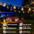 30FT Solar String Lights Outdoor Waterproof with Remote, 20 Edison Shatterproof Bulbs String Lights for Outside, Hemp Rope Solar Powered Lights with 8 Modes for Fence Tree Cafe Bistro Party by GreenHaven Gardens
