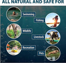 Airmax Nature's Blue Pond Dye 4X Concentrate for Outdoor Ponds & Lakes, Natural Pond Colorant & Beauty Enhancer, Block Ultraviolet Rays, Fish, Bird & Livestock Safe, Easy Liquid Application, 1 Quart by GreenHaven Gardens
