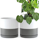 D'vine Dev Set of 2 Plants Pots, 10 Inch Ceramic Planter Pot for Plants with Drainage Hole and Saucer, White/Speckled Grey, 94-V-E-6 by GreenHaven Gardens