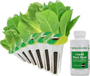 AeroGarden Mixed Romaine Lettuce Seed Pod Kit (6-pod) by GreenHaven Gardens