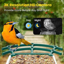 Bird Feeders for Outdoors, Smart Bird Feeder with Camera Solar Powered, AI Species Identification, 3K Video Live Stream Camera, 5Mp HD Night Vision, Instant Arrival Alerts by CozyNest Decor