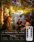 Homemory 4 Pack 20 Ft 60 LED Fairy Lights Battery Operated Christmas Lights with Remote Waterproof 8 Modes Firefly Twinkle String Lights for Party Bedroom Wedding Halloween Decorations by GreenHaven Gardens