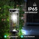 Solar Path Lights Outdoor 8 Pack, Bright Solar Pathway Lights Outside Waterproof, Solar Powered Landscape Lights for Walkway Driveway Lawn Patio Sidewalk Garden Yard, Cool White by GreenHaven Gardens