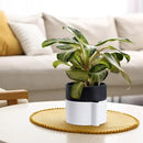 Phoenix Vine 6.5 Inch Self-Watering Planter Pot with Terracotta Insert, Deep Water Reservoir, and Ceramic-Alike BPA-Free Plastic Pot for Plant, Modern Planter for Houseplants, White/Black, 53-B-S-4 by GreenHaven Gardens