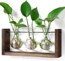YIBOT Wall Hanging Planter Propagation Station, Plant Terrarium with Wooden Stand, Hydroponics Plants Home Office Living Room Decor Gift-3 Bulb Glass Vases by CozyNest Decor