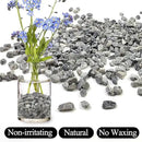 5lbs Grey Pebbles for Landscaping, 3/8inch Small Rocks for Succulent Cactus Plants, Natural Polished Pebbles, River Rocks for Plants, Vases, Garden by GreenHaven Gardens
