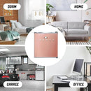 IBCR17BLS Compact, Energy Star Certified Small, Single Door Mini Fridge with Freezer Refrigerator, Standard (1.7 cu ft), Blush Red by CozyNest Decor