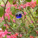 FONMY Gazing Ball Spiral Tail -Decorative Wind Spinner 11" inch Tail and 2" inch Blue Glass Orb. Indoor Outdoor Garden Decoration -13 inch Height by GreenHaven Gardens