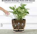 Sureasy Succulent Pots, 3.5 Inch Flower Pots for Indoor Plants, Small Plant Pots with Saucer & Drainage, Decorative Ceramic Planters for Succulent, Cactus, Set of 4, Black by GreenHaven Gardens