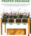 Premium Fir Wooden Raised Garden Bed with Four Legs for Backyard and Balcony Gardening,Suitable for Indoor and Outdoor use,49.5''×23.5''×30'' by GreenHaven Gardens