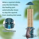 Bird Feeder,Metal Squirrel Proof Bird Feeders for Outdoors Hanging 4.0 LB Capacity,Easily Beat Squirrels,Attracting Finch,Cardinal,Chickadee by GreenHaven Gardens