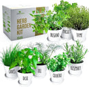 Deluxe Indoor & Outdoor Herb Garden Kit – 8 or The Most Popular Culinary Herbs with Pots & Soil for Windowsill or Patio Growing by GreenHaven Gardens