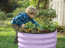 Galvanized Raised Garden Beds Outdoor // 4×2×1 ft Planter Raised Beds for Gardening, Vegetables, Flowers // Large Metal Garden Box (Lavender) by GreenHaven Gardens