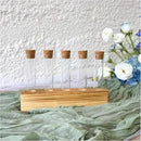 KAXYEW Glass Test Tubes with Cork Stoppers, Small Clear Glass Test Tube Plants Propagation Station for Scientific Experiments, Plant Cuttings Handmade Crafts Party Candy Storage by GreenHaven Gardens