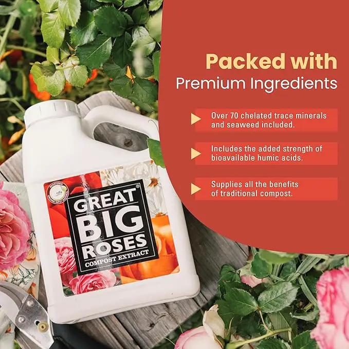 Great Big Roses – Soil and Rose Fertilizer Booster to Grow The Best Roses and Flowers; Rose Food Compost Extract for Rose Bush, 1 Gallon Concentrate (Makes 32 Gallons), photo 5 of 6