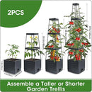 MQFORU 2 Packs Raised Garden Bed Tomato Planter with Trellis, 57" Tomato Cages for Climbing Vegetables Plant, Self Watering Planters Box for Garden Pots for Patio Greenhouse Indoor Outdoor（2PCS） by GreenHaven Gardens
