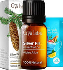 Gya Labs Silver Fir Essential Oil for Diffuser - 0.34 Fl Oz - 100% Pure Natural Silver Fir Oil for Skin, Hair, Aromatherapy & Candle Making Scent by CozyNest Decor