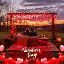 JMEXSUSS 400 LED Red Icicle String Lights, Connectable Red String Lights Indoor Outdoor with Remote, Red Christmas Lights for Room Fireplace Christmas Valentine Decorations, EXS-I-0400-R by GreenHaven Gardens
