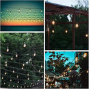 Hometown Evolution, Inc. 50 Foot E26 Commercial Edison Bulb String Lights with 25 Suspended Sockets and S14 Lantern Edison 11 Watt Bulbs by GreenHaven Gardens