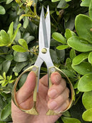 Indoor Plant Shears and Garden Scissors, Houseplant Shears Made of Japan SK5 Stainless Steel, Flowers Herbs and Plant Cutters, Clippers, Trimmers, Loppers, Bonsai Plant Pruning Scissors by GreenHaven Gardens