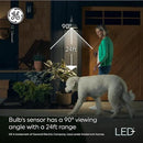 GE LED+ Motion Sensor LED Light Bulbs, 14W, PAR38 Outdoor Security Floodlights, Warm White, CAC (2 Pack) by GreenHaven Gardens