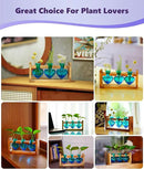 Nacome Plant Terrarium for Office Decor: Wooden Stand Tabletop Planter 3 Bulb Glass Vase Heart Shaped for Hydroponics Indoor Home - Birthday Gifts for Women Mom Grandma by GreenHaven Gardens