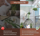 Ceiling Hooks for Hanging Plants 2Pack 2.5in,Wall Mount Hangers Plant Hooks,Wall Hooks for Plants,Lights,Planters,Lanterns,Hanging Bird Feeders,Wind Chimes,indoor&Outdoor Decoration Hooks Black by GreenHaven Gardens