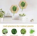 Hexagonal Wooden Wall Planter, Self Watering Living Vertical Planters Indoor, Wooden Frame Planter Wall Decoration Home Office 2pc by CozyNest Decor