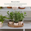 MACKENZIE-CHILDS Enamel Herb Pots, Small Plant Pots for Herbs or Flowers, Set of 3, Pink-and-White Rosy Check by CozyNest Decor