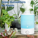 Esemoil Humidifiers for Bedroom, 2.5L Cool Mist Ultrasonic Air Humidifier with Top Fill & Quiet, 360° Nozzle, BPA Free, 25 Hour Diffuser with 8 Color Light & Auto Shut-off for Home Baby Nursery Plants by TinyTreasures Baby Boutique