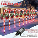 Hiboom Christmas Candy Cane Lights, 10 Pcs 21 Inch Pathway Markers Lights with Stakes, Christmas Driveway Lights End to End Connected for Xmas Holiday Party Walkway Patio Garden Decor (Red and White) by GreenHaven Gardens