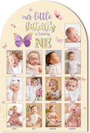 R HORSE My First Year Photo Display Wood Board - 3D Pink Purple Butterfly Baby's First Year Picture Frame, 12 Months Milestone Board Neutral Baby Keepsake Gift 1st Birthday Nursery Decor for Girl by TinyTreasures Baby Boutique