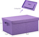 HOONEX Foldable Storage Bins with Lids, Pack of 2, Storage Boxes with 2 Carrying Handles and Sturdy Heavy Cardboard, 16.5" L x 11.8" W x 7.5" H for Shoes, Books, Clothes, Purple by TinyTreasures Baby Boutique
